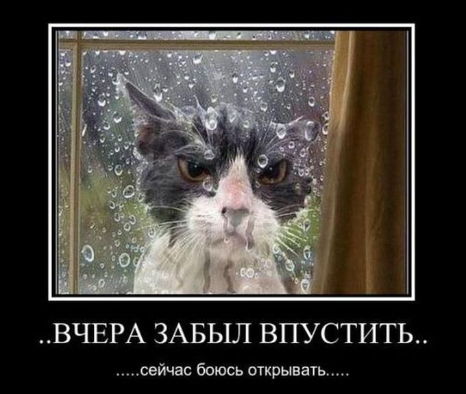 Коронавирус. Так страшен ли черт как его малюют? Некоторые мысли вслух. (Денис_из_сибири)