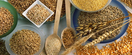 Ограничения в еде при подагре