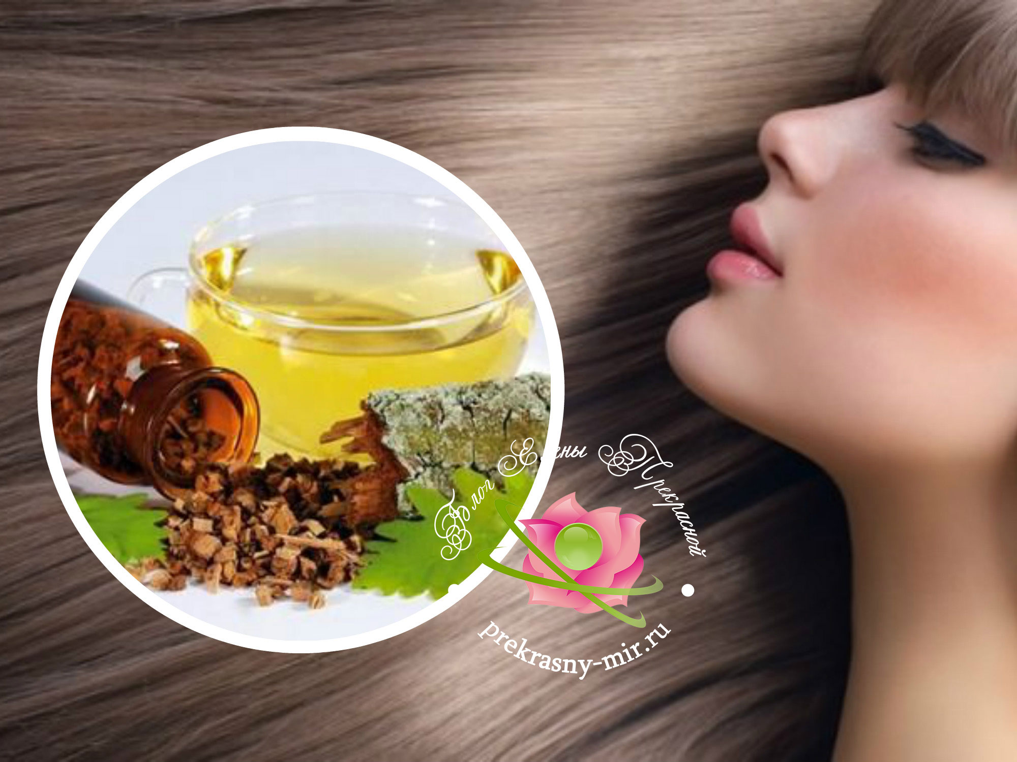 кора дуба для волос