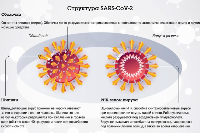 Пневмония и заболевания от нее