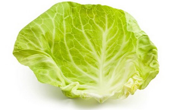 Лист капусты
