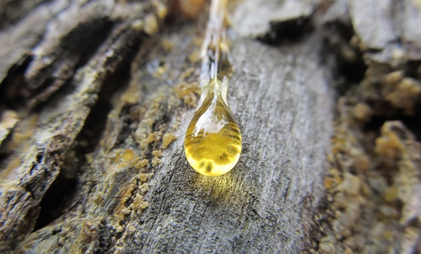 Мазь от пролежней для лежачих больных. Названия, эффективность, цены