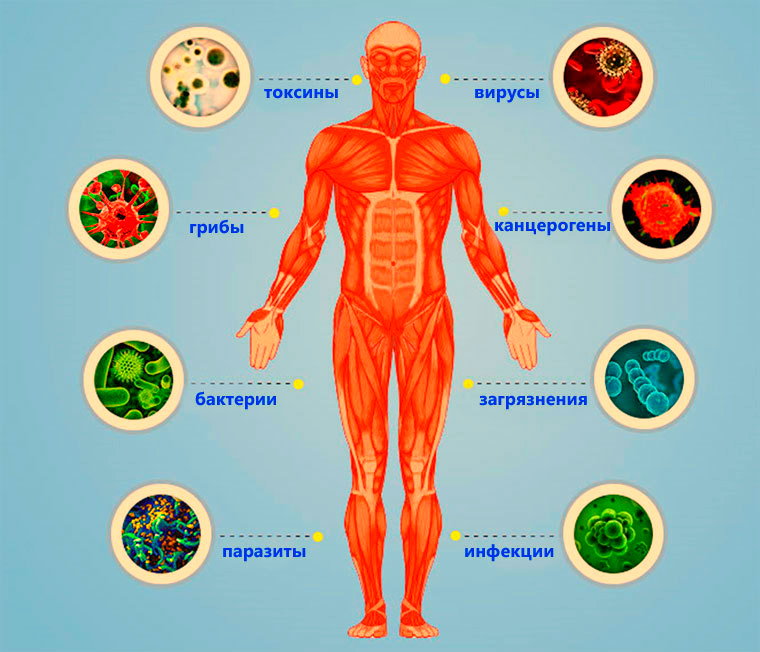 Клебсиелла пневмонии зева, исследуй мазок!