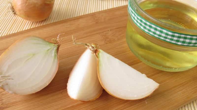Особенности лечения болезней уха с помощью лука