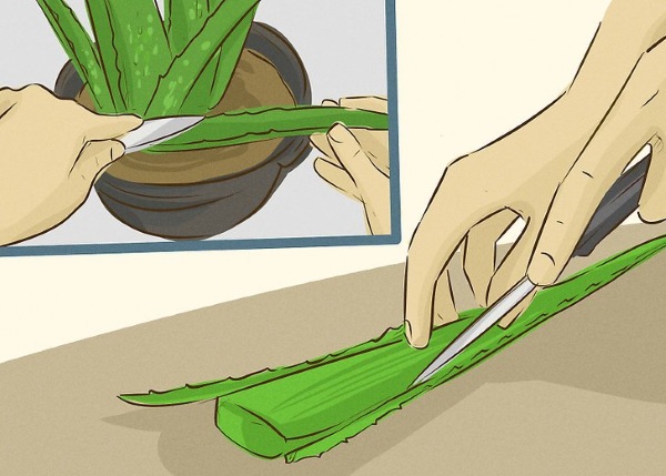 Средства от ожогов кипятком: лекарства, народные рецепты, лечение в домашних условиях