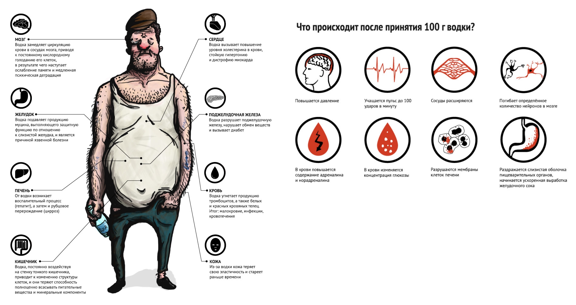 Вред водки для организма Вред водки для организма