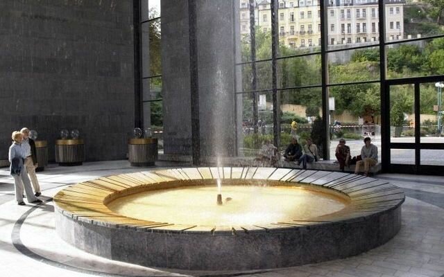 Карловы вары какой источник от подагры